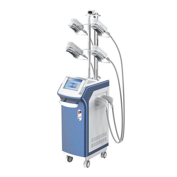 5 Cryo Handles 360 Degree Cryolipolisis Fat Reduction Beauty Machine
