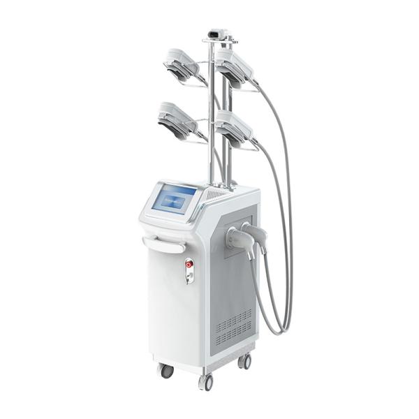 Manufacturer 5 Handles Criolipolisis Machine Cryolipolysis 360  Body Shaping Machine
