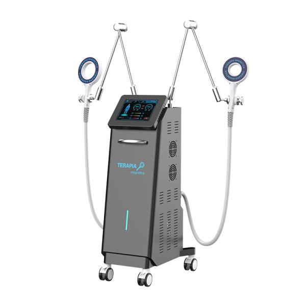 Vertical 2 Handles Pain Therapy Machine Magnetic Therapy Equipment for Body and Hand