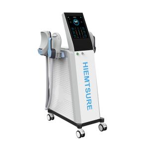 New Type of Aesthetics System Losing Weight, Weight Loss, Fat Loss, EMS Body Weight Loss Beauty Skin Beauty Salon Equipment