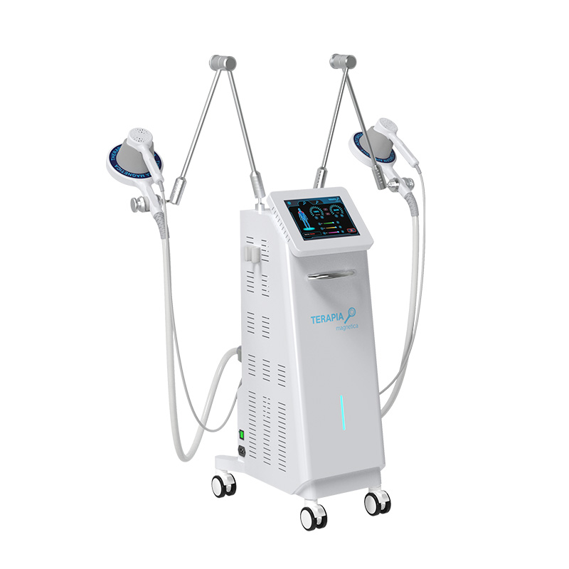 Dual Handle TERAPIA Magnetica Laser Physical Therapy System Dual Handle TERAPIA Magnetica Laser Physical Therapy System