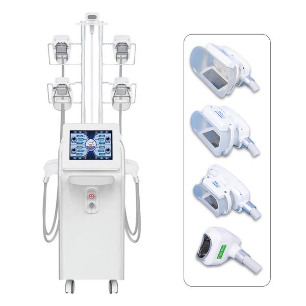 5 Handle Vertical Cryotherapy System Fat Freezing Cryolipolysis Antifreeze Membrane coolscuplting Therapy Weight Loss Machine
