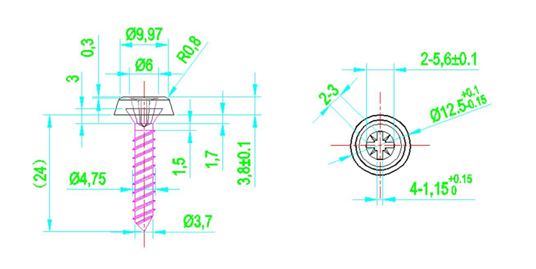 Number Plate Screw Oversized Moulded Head Polytop Screws All Colours 8G 19mm Cap 图纸.jpg