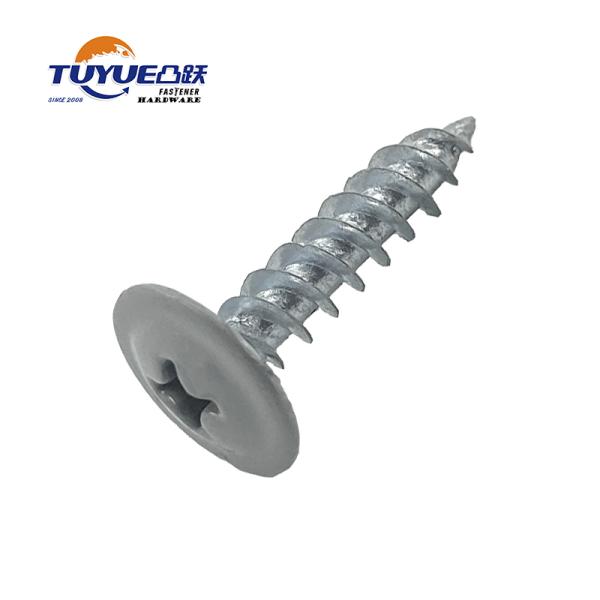 Modifided Truss Head Sharp Point Screw With Color Painted Head