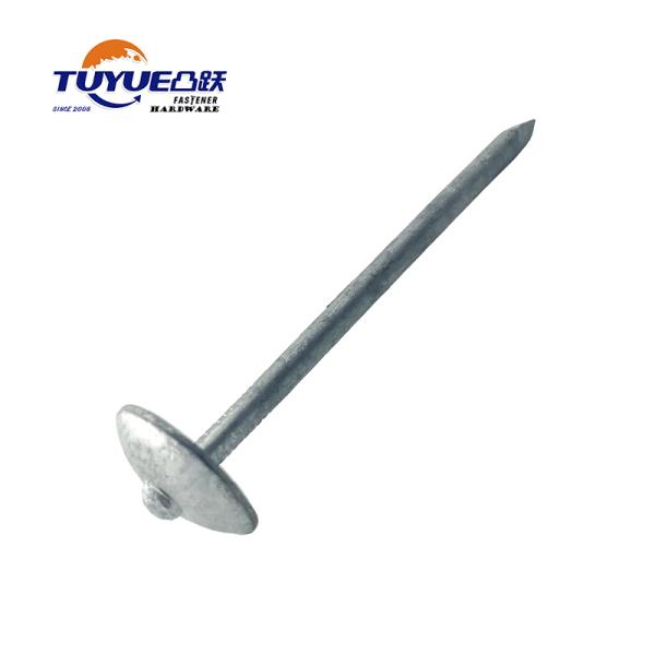 Umbrella Head Roofing Nail