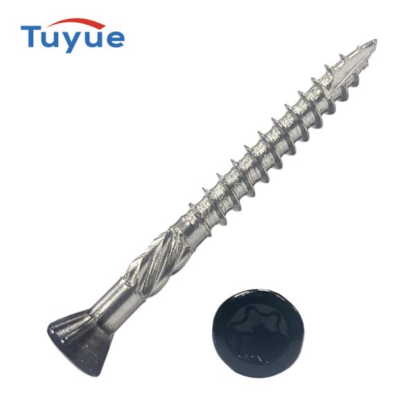 Coated head tapping screw torx socket stainless steel cutting point