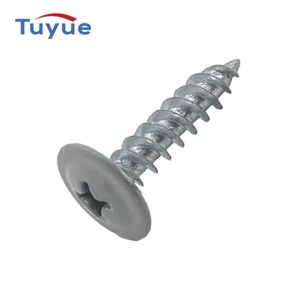 Modifided Truss Head Sharp Point Screw With Color Painted Head