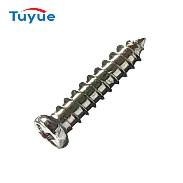 Tiny Sunglasses Screws, Glasses Screws