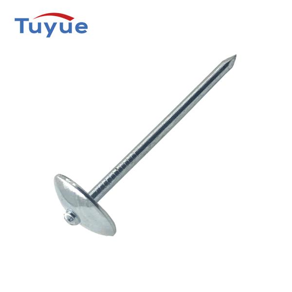 Umbrella Head Roofing Nail