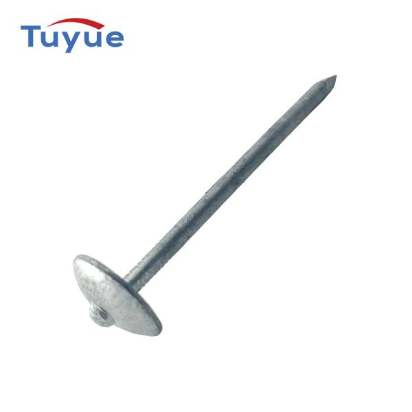 Umbrella Head Roofing Nail