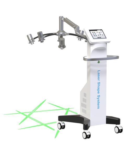 6D 532nm Maxlipo Laser Shape System