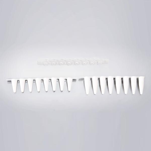 PCR Tube