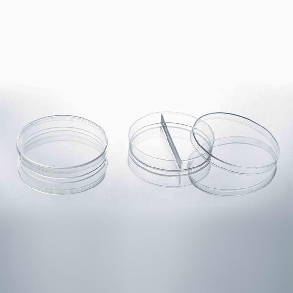 Petri Dish